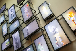 SCHNELLE BUNTE BILDER