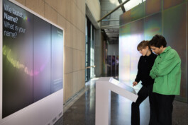 SCHNELLE BUNTE BILDER